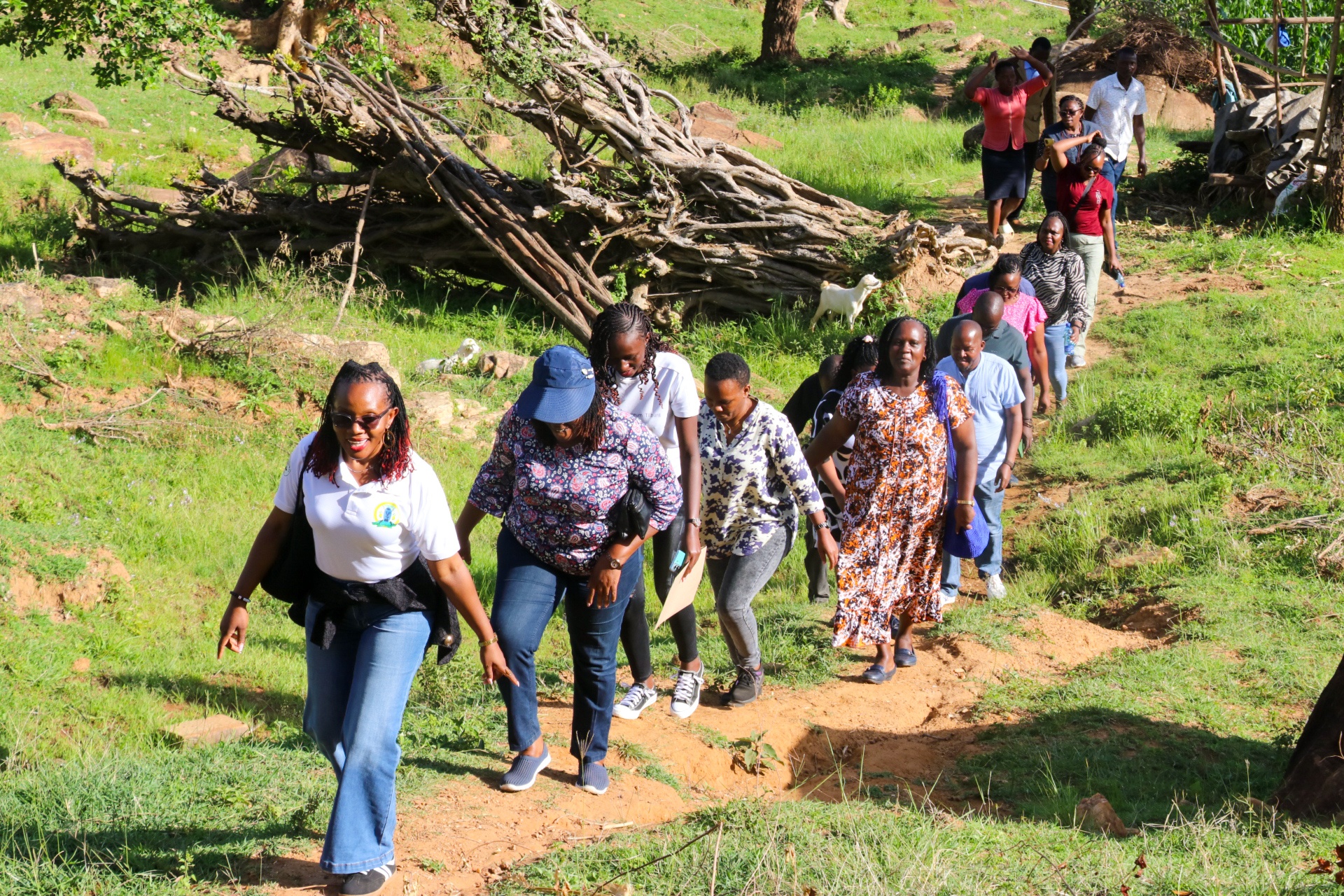 NEW HOPE FOR POOR HOUSEHOLDS AS MAKUENI ROLLS OUT ULTRA-POOR GRADUATION ...